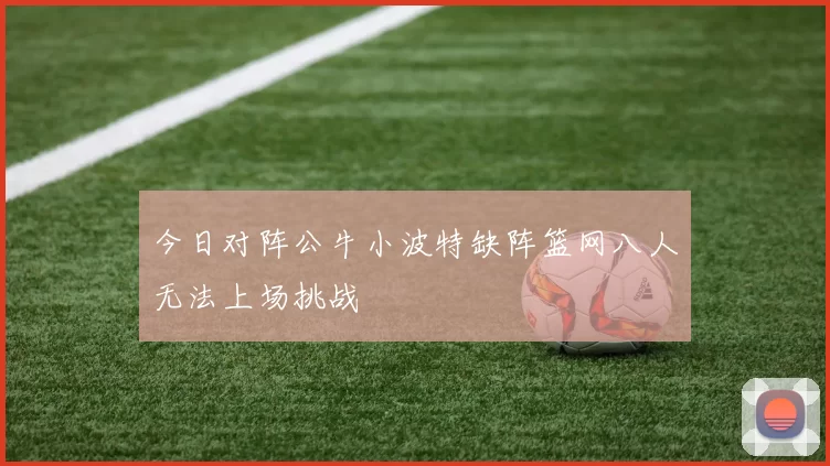 今日对阵公牛小波特缺阵篮网八人无法上场挑战