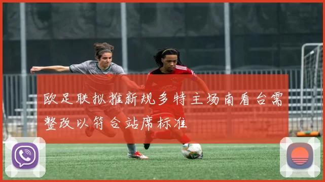 欧足联拟推新规多特主场南看台需整改以符合站席标准